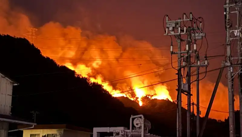 Japonya’da Orman Yangınları Kabusu: İki Eyalet Alevlere Yenik Düştü