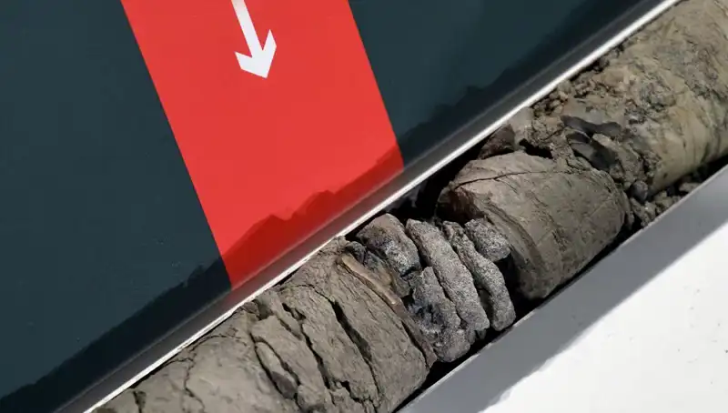 Müze Otoparkında Dinozor Fosili Keşfi: Tarihin derinliklerinde bir yolculuk