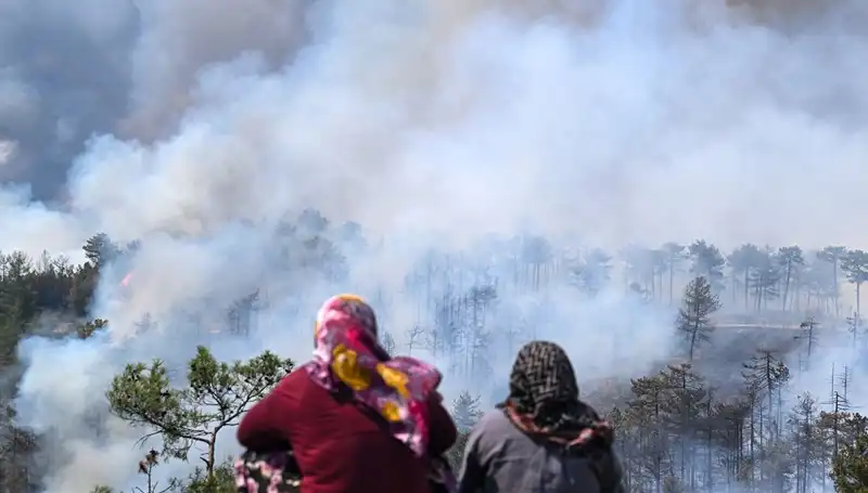 Bursa'da Yangınlar Sonlandı, Ancak Kirlilik Sorunu Devam Ediyor