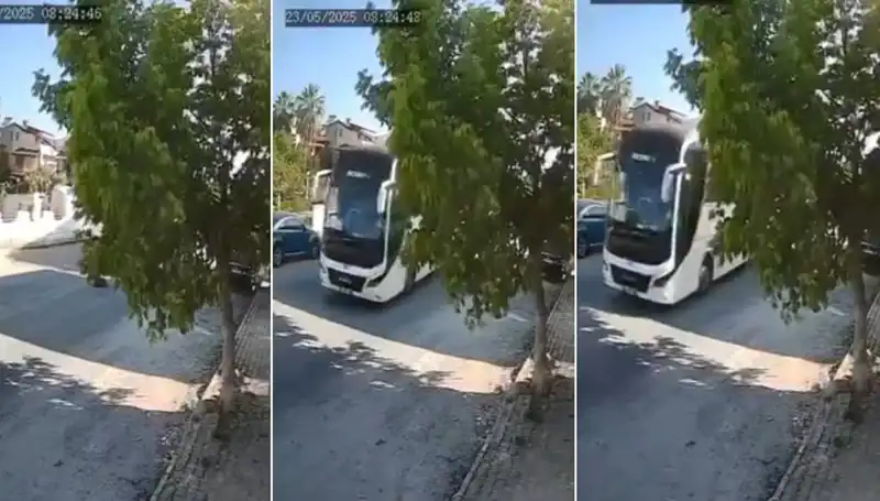 Yolda Yatan Köpeğe Dikkat Etmedi, Duygusal Anlar Yaşandı!