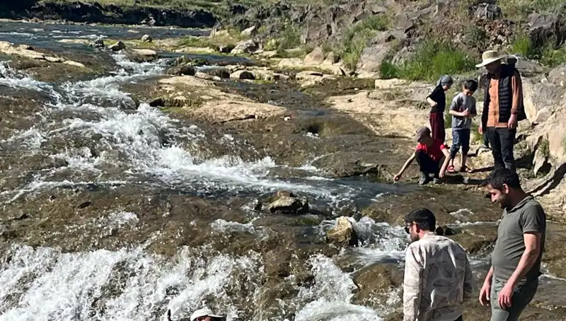 İnci Kefalinin Büyüleyici Göçü: Doğanın Harikalığına Şahit Olun!