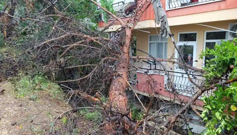 Yağmur, Eski Bina ile Birlikte Yıkıma Neden Oldu