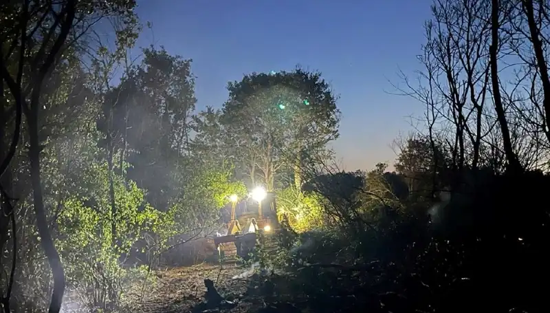 Edirne'deki Orman Yangını Kontrol Altına Alındı: Detaylar ve FIFO Süreci