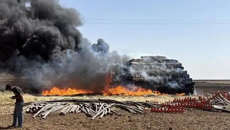 Mardin'de Alev Alev Yükselen Anız Yangını, Tarım Alanlarını Tehdit Ediyor!