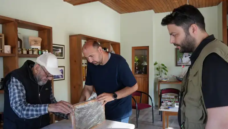 Hem Şifa Hem Zehir: Doktor Tavsiyesi ile Tüketilmesi Gereken Besin