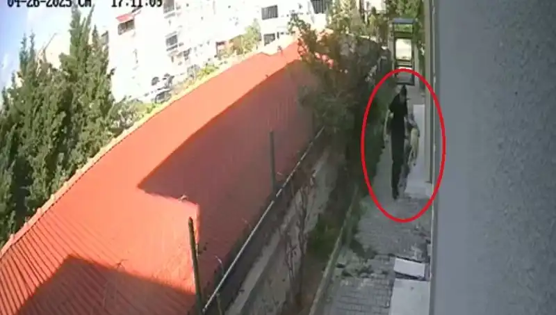 Hayvanseverlerin Gözdesi Doktorun Dehşet Verici Suçları Ortaya Çıktı