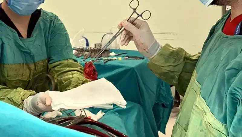 Kalp Kapağı Çürüyen Hastanın 7 Saatlik Mucizevi Ameliyatı Başarıyla Gerçekleşti