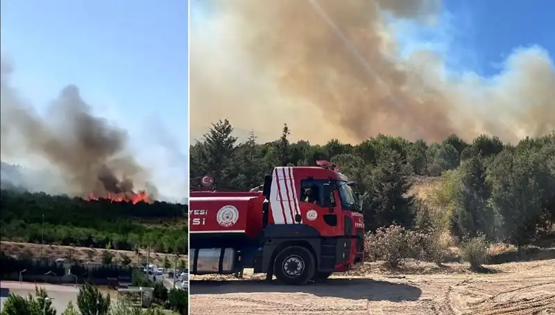 Gebze'deki Orman Yangını: Doğanın Kalbinin Nasıl Vurulduğu