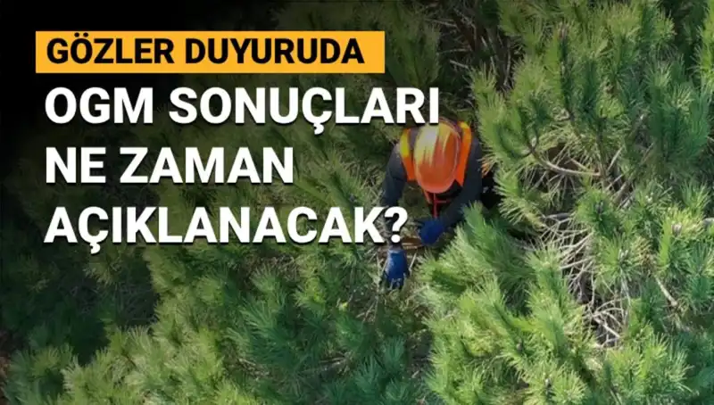 OGM Personel Alımı Duyurusu: 3 Bin 477 Kontenjan İle Hangi İsimler Belirlenecek?
