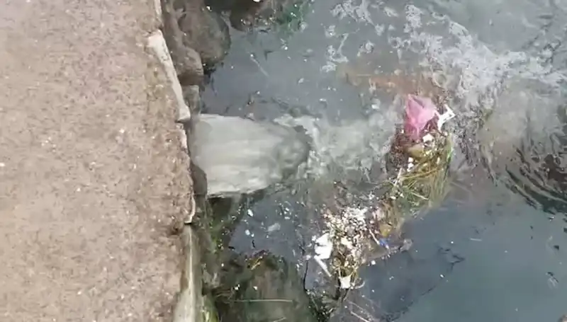 Çınarcık Belediyesi'ne Kirlilik Nedeniyle Rekor Cezalar Kesildi