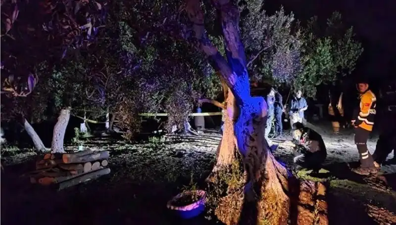 Çiftlikteki Baltalı Vahşet: Olayın Ardındaki Karanlık Sır Ortaya Çıktı