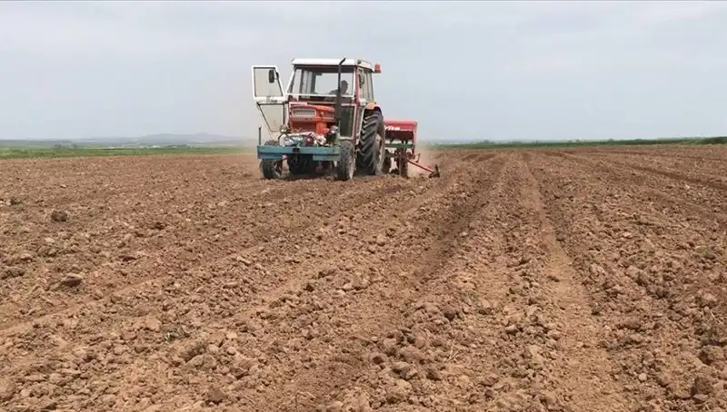 Son 35 Yılın En Kurak Mart Ayı: Türkiye'de Yağışlarda Tarihi Düşüş!