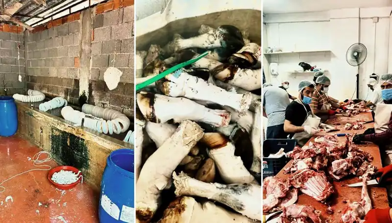 Adana'da Şok Eden Görüntüler: Yüzlerce Kilo Paça Operasyonu Gerçekleşti