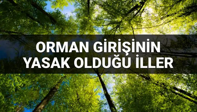 2025’te Ormana Girişi Yasaklanan İller: Hangi Şehirler Belirli Oldu?
