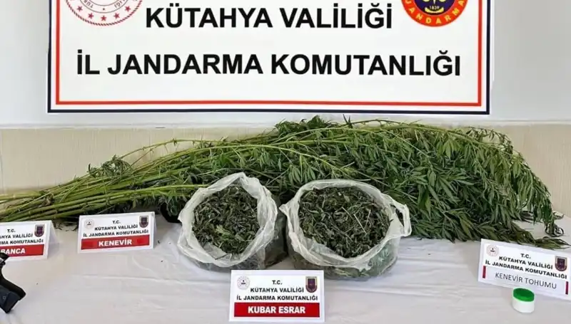 Kütahya'da Şok Uyuşturucu Operasyonu: Bir Kişi Gözaltına Alındı