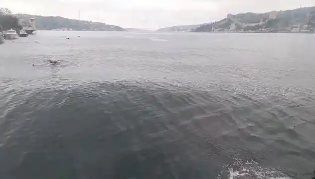 İstanbul Boğazı’nda Dalgalar Yükseliyor: Doğa Olaylarının Etkileri