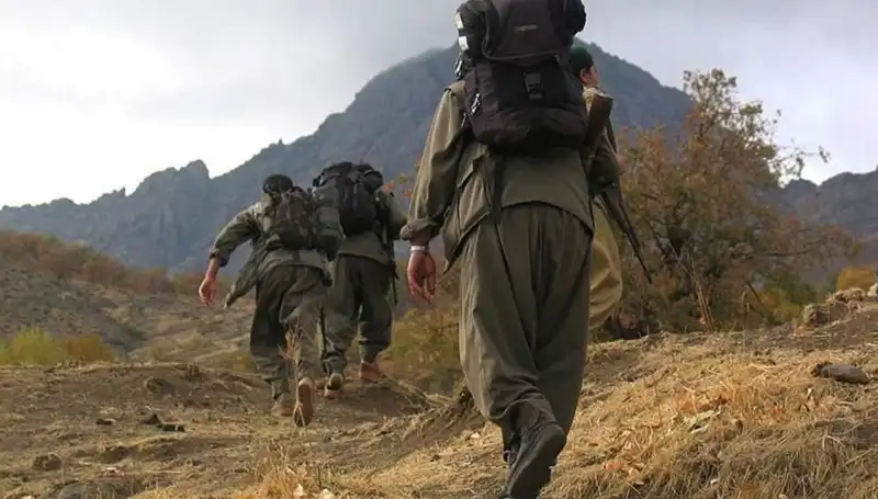 Türkiye'de Terörsüz Bir Gelecek İçin Kritik 48 Saat: Öcalan'ın Mesajı Kandil'e Ulaşıyor